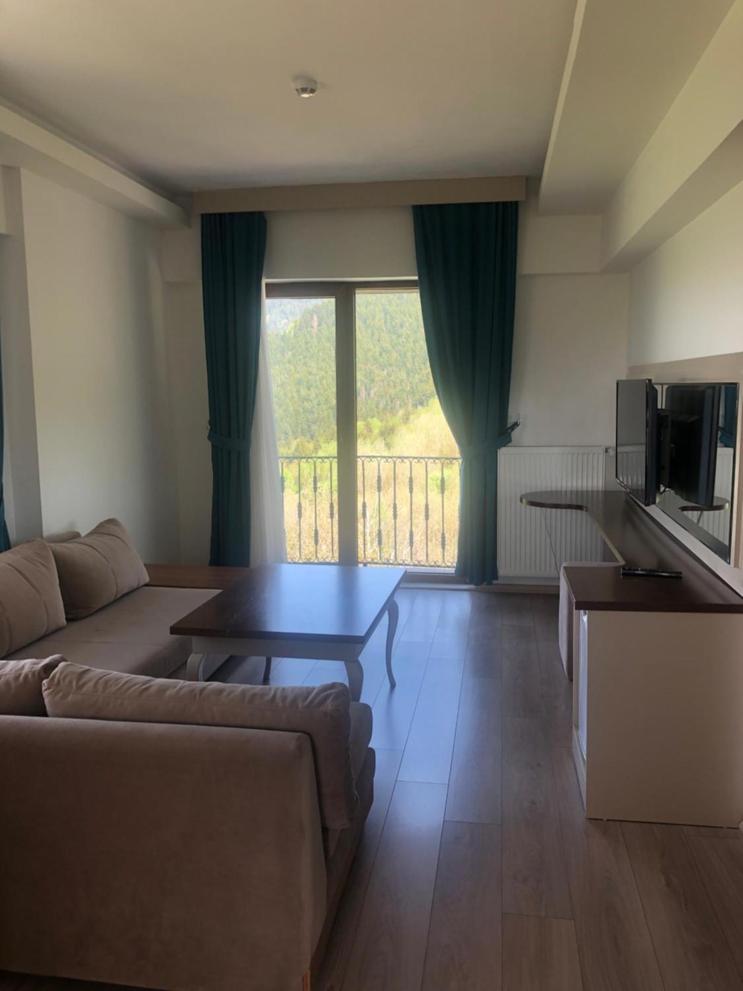 Black Forest Hotel Savsat Екстериор снимка