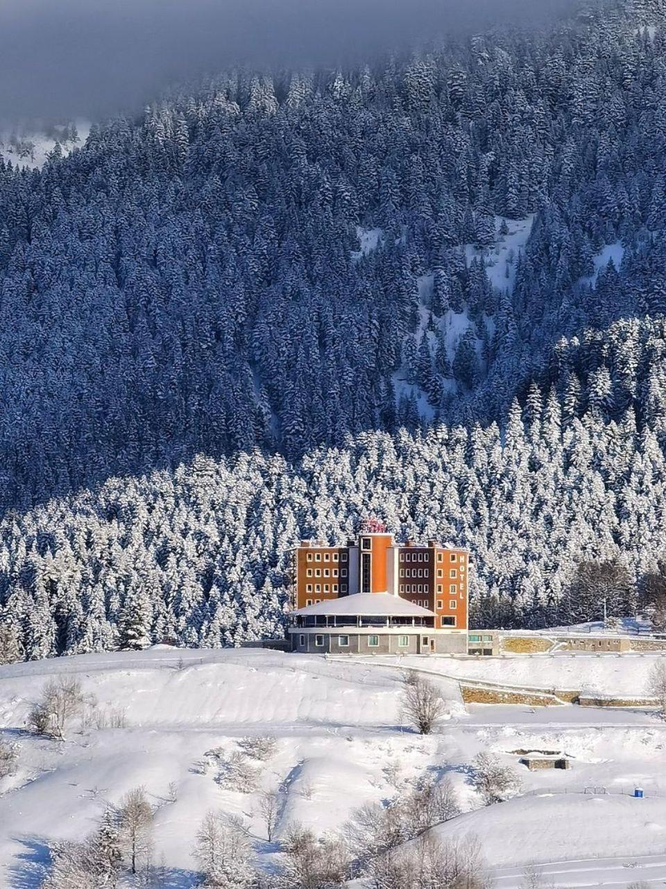 Black Forest Hotel Savsat Екстериор снимка