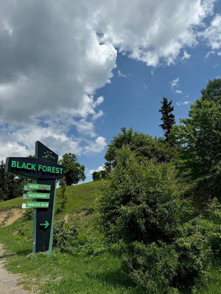 Black Forest Hotel Savsat Екстериор снимка