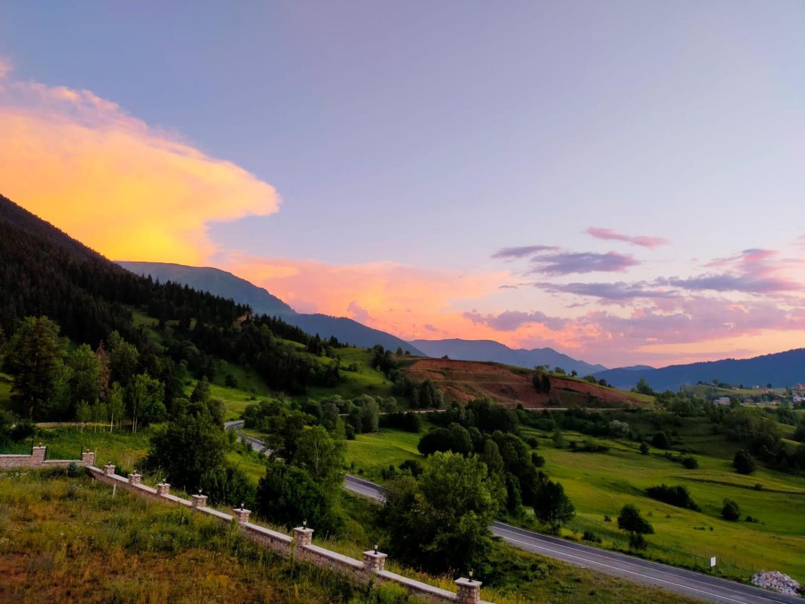 Black Forest Hotel Savsat Екстериор снимка