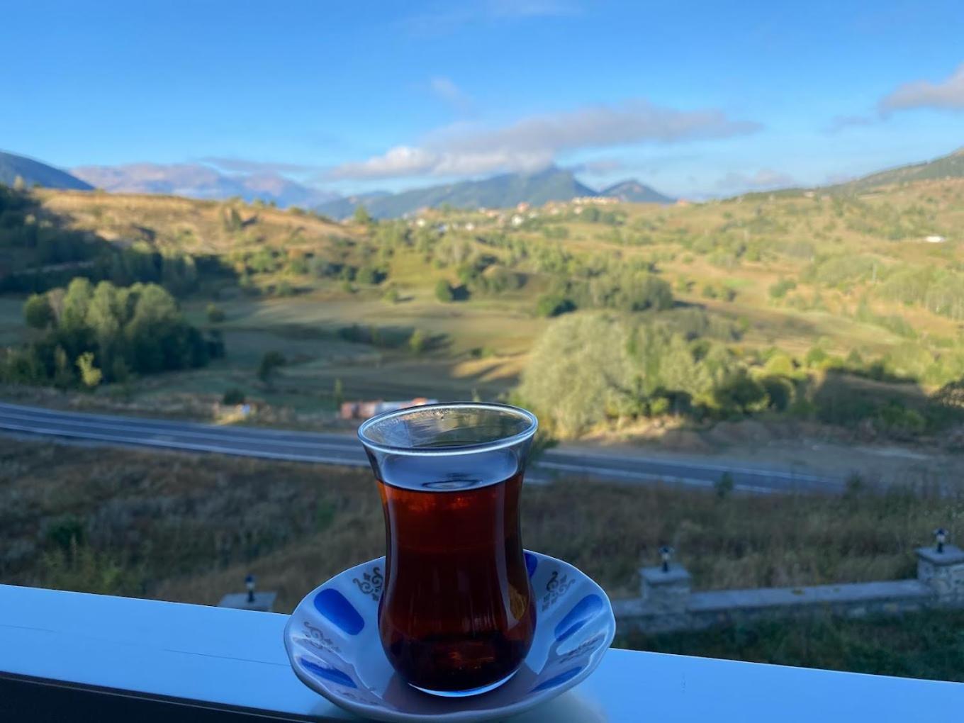 Black Forest Hotel Savsat Екстериор снимка