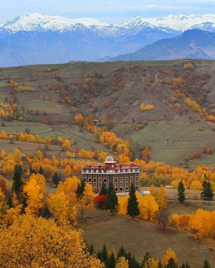 Black Forest Hotel Savsat Екстериор снимка