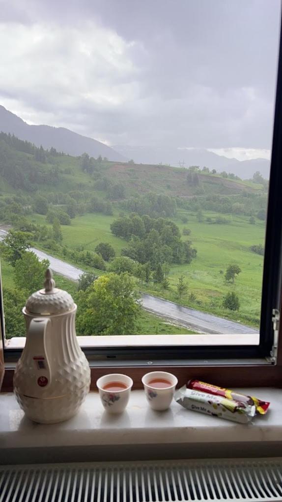 Black Forest Hotel Savsat Екстериор снимка