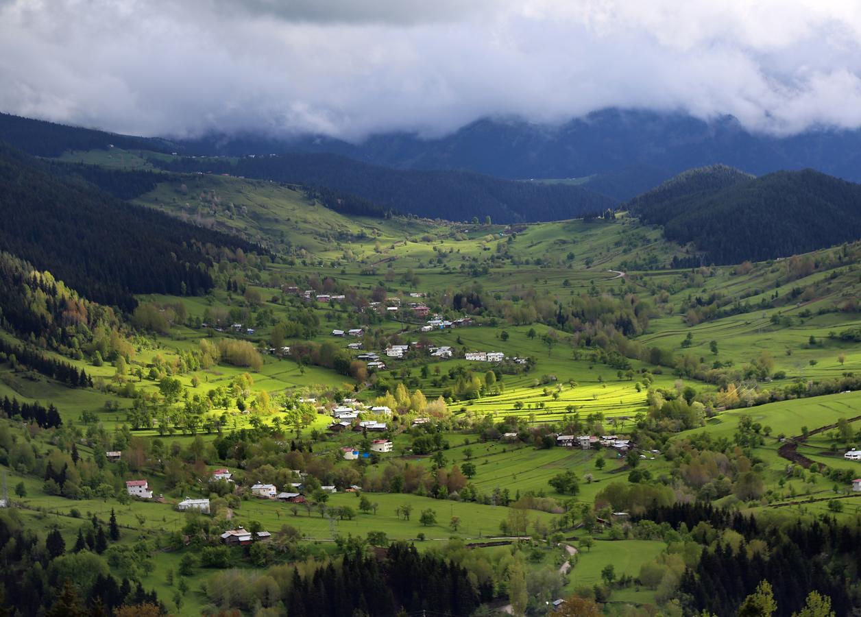 Black Forest Hotel Savsat Екстериор снимка